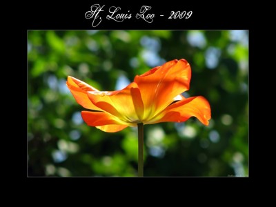 Click here to view at full resolution.