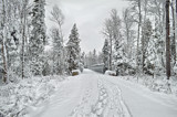 "Walking In A Winter Wonderland #3" by icedancer, photography->landscape gallery