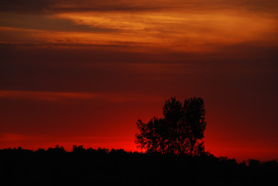 Click here to view at full resolution.