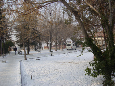 Click here to view at full resolution.