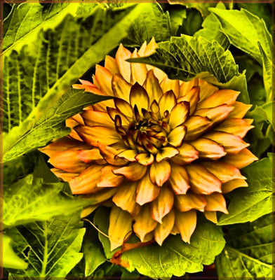 Click here to view at full resolution.