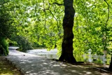 St Stephen's Green Dublin by flanno2610, photography->city gallery