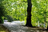 St Stephen's Green Dublin by flanno2610, photography->city gallery