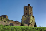 Insolent stork by ovar2008, Photography->Castles/Ruins gallery