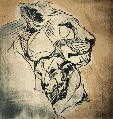 Click here to view at full resolution.