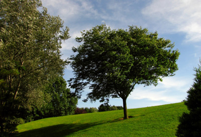 Click here to view at full resolution.