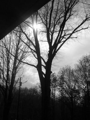 Click here to view at full resolution.