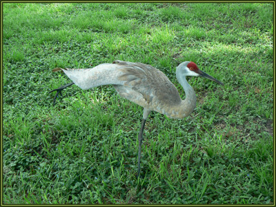 Click here to view at full resolution.