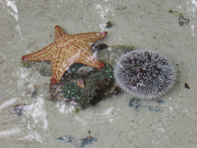 Click here to view at full resolution.