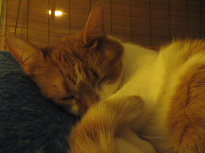 Click here to view at full resolution.