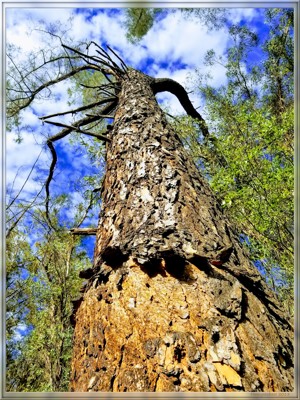 Click here to view at full resolution.