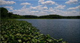 A Summer's Day At Shock Lake by tigger3, photography->nature gallery