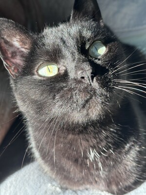 Click here to view at full resolution.