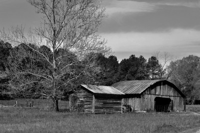 Click here to view at full resolution.