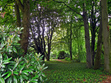 Park Scene by Ramad, photography->nature gallery