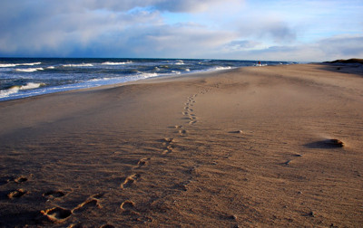 Click here to view at full resolution.