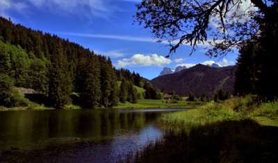 Click here to view at full resolution.