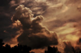 Bird in Flight by vangoughs, photography->skies gallery