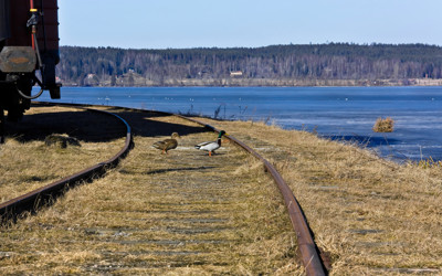 Click here to view at full resolution.