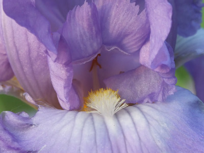 Click here to view at full resolution.