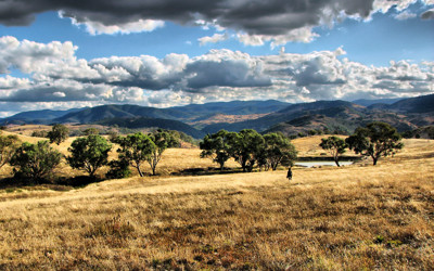 Click here to view at full resolution.