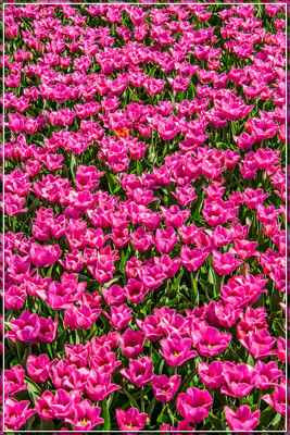 Click here to view at full resolution.