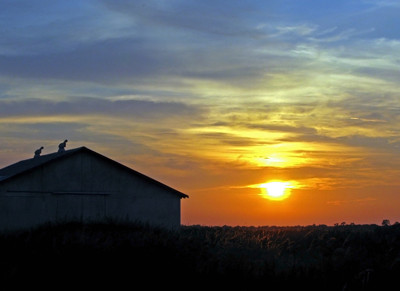 Click here to view at full resolution.