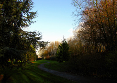 Click here to view at full resolution.