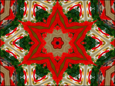 Click here to view at full resolution.