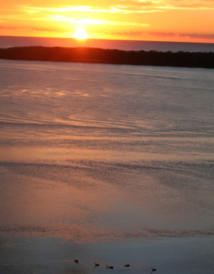 Click here to view at full resolution.