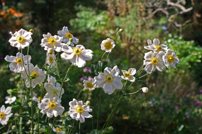 Click here to view at full resolution.