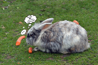 Click here to view at full resolution.