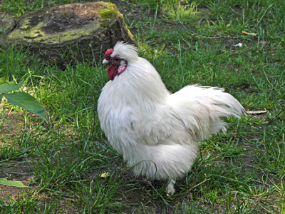 Click here to view at full resolution.