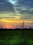 When Weeds Is All Ya Got by PatAndre, Photography->Sunset/Rise gallery
