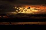 Run! Run For Your Lives!! by PatAndre, Photography->Skies gallery