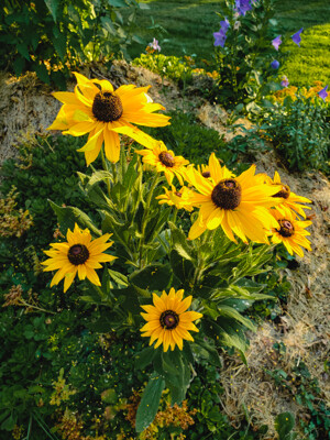 Click here to view at full resolution.