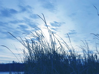 Click here to view at full resolution.