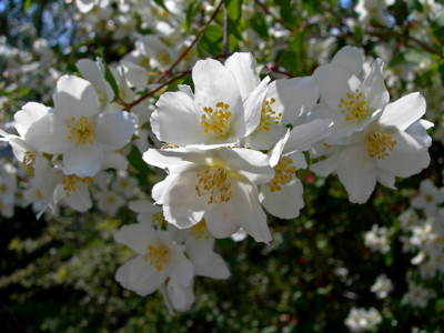 Click here to view at full resolution.