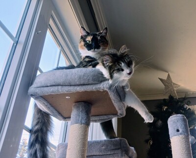 Click here to view at full resolution.