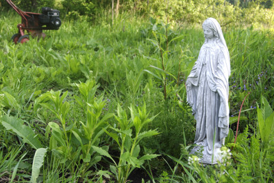 Click here to view at full resolution.