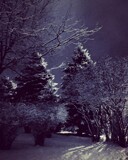 Out the Back Door by Starglow, photography->general gallery