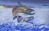 Catch Of The Day (revised) by bfrank, illustrations->digital gallery