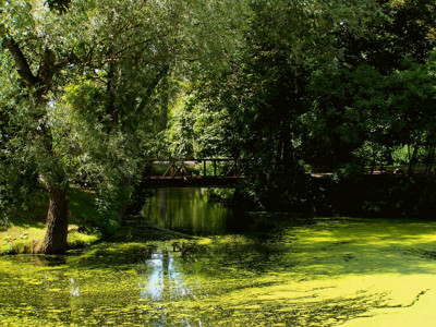 Click here to view at full resolution.