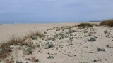 6. On the beach - 2026 by apofix, photography->shorelines gallery