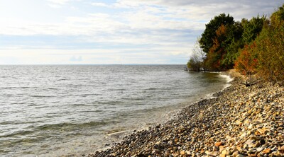 Click here to view at full resolution.