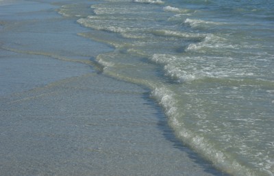Click here to view at full resolution.