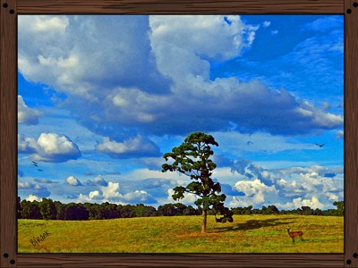 Click here to view at full resolution.