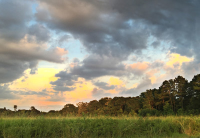 Click here to view at full resolution.