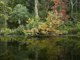 Autumn Shore by unclejoe85, photography->shorelines gallery