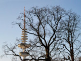 Tower View by Ramad, photography->architecture gallery